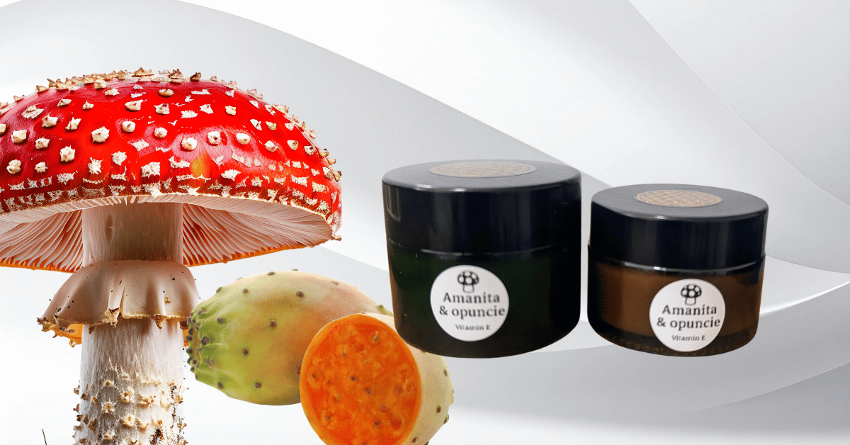Amanita a opuncie balzám