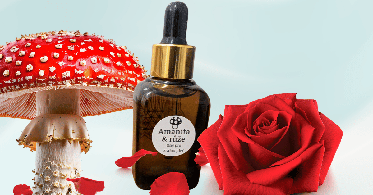 Amanita a růže regenerační olej pro zralou pleť
