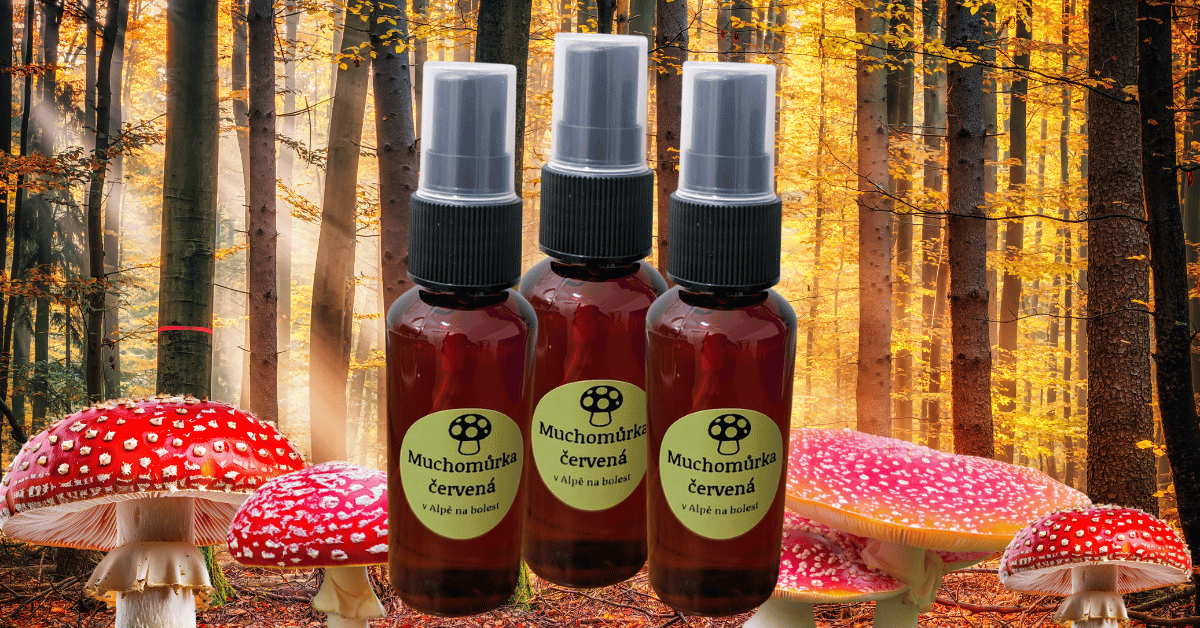 Tinktura z mochomůrky červené v Alpě